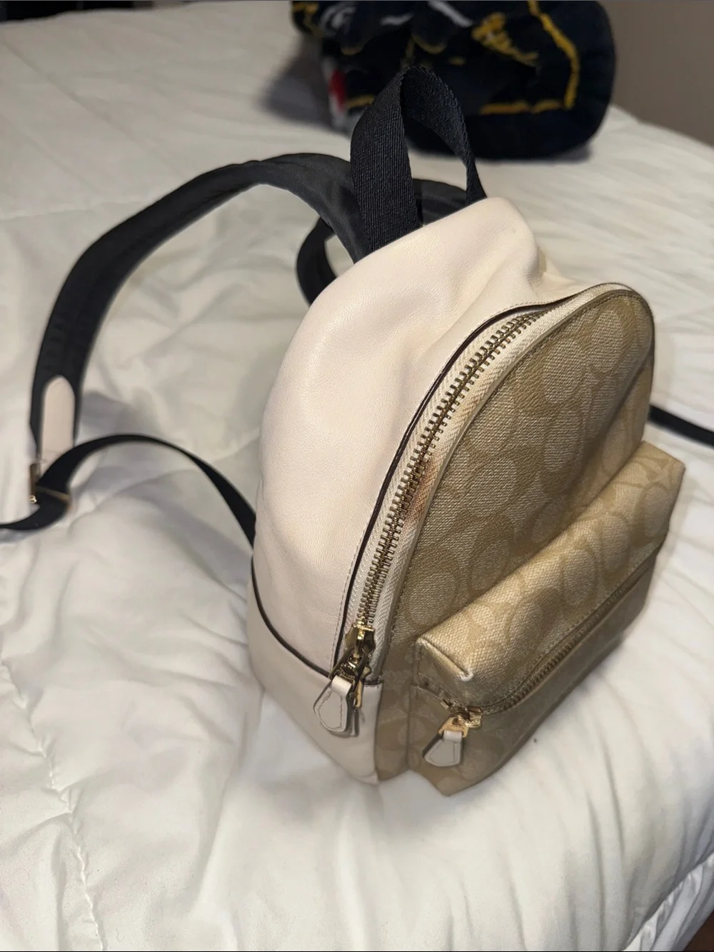 Coach compact mini